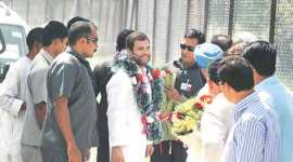 rahul gandhi, rahul gandhi in pampore, rahul gandhi narendra modi, gujarat unrest, gujarat violence, patidar protest, patidar quota, obc quota, patel protest, patel quota, hardik patel, bjp, congress, india news