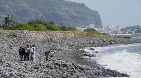 malaysia airlines, mh370, mh370 crash, plane crash, malaysia airlines plane crash, mh370 plane crash, mh370 indian ocean crash, mh370 debris, world news, pune news, indian express