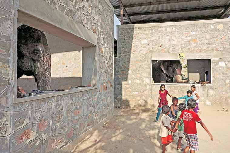 Rahul Mehrotra, Interview, Architect, Conservationist, Kumbh Mela book, urban landscapes, Green Wall, Social house, EYE