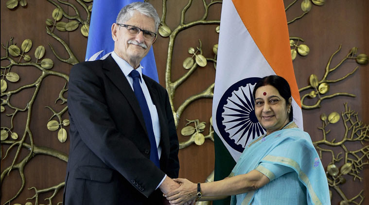 sushma swaraj, india unsc, unsc reforms, india unsc reforms, united nations india, india news, UN general assembly
