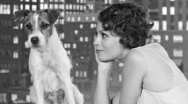 The Artist, The Artist dog, uggie, The Artist uggie, uggie dies, uggies death, entertainment news