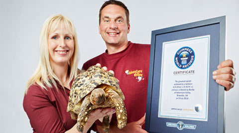 VIDEO: Meet Bertie ‘the speedster’, world’s fastest tortoise