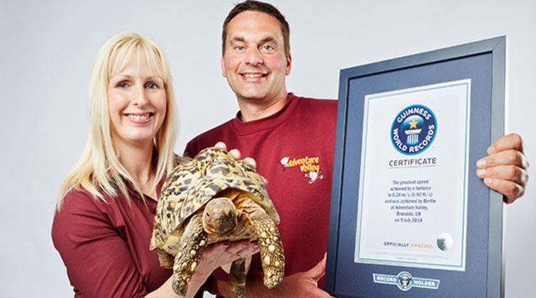 world's fastest tortoise, world's fastest animal, trending videos, viral videos, guinness world records, guinness videos, #viral, viral news,