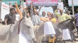 bihar elections, bihar polls, bihar 2015 elections, bihar politics, Samajwadi party, JD (U), RJD, Bihar NDA allaiance, Bihar BJP, bihar grand alliance, bihar news, india news, latest news,