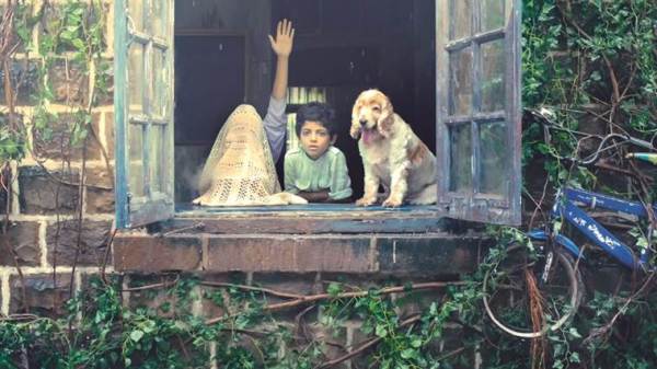 Megha Ramaswamy, Filmmaker Megha Ramaswamy, Megha Ramaswamy Bunny, Megha Ramaswamy Bunny Movie, Filmmaker Megha Ramaswamy Bunny, Megha Ramaswamy Film, Bunny Movie, Bunny Movie cast, Toronto International Film Festival