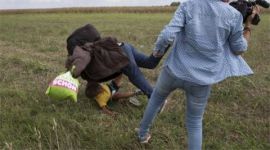migrant, hungary, hungary migrant, migrant tripped, migrant kicked, tv crew trip migrant, tv crew kick migrant, tv camerawoman trip migrant, tv camerawoman kick migrant, migrant crisis, migrant news, europe migrant, eu migrant, europe migrant crisis, hungary news, world news, latest news