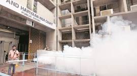 chandigarh, dengue chandigarh, chandigarh dengue, dengue in chandigarh, chandigarh dengue precautions, chandigarh health department, chandigarh news