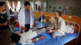 dengue, dengue deaths, Delhi government, Delhi hospital ordinance, hospital ordinance delhi, dengue emergency patient, emergency patient of dengue treatment, dengue delhi patients, dengue delhi deaths, delhi dengue deaths, Delhi news, india news, nation news
