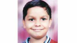 dengue, dengue delhi, delhi, dengue in delhi, delhi dengue, delhi hospital, arvind kejriwal, kejriwal, delhi dengue, delhi news, indian express