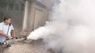 dengue, dengue outbreak, chikungunya, dengue in delhi, delhi dengue, dengue outbreak in delhi, delhi hospital, delhi, arvind kejriwal, home ministry