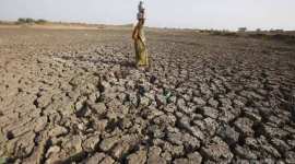 gujarat govt, drought, gujarat drought, scarcity-hit, gujarat villages, gujarat news