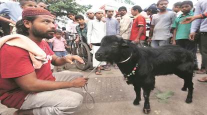 Bakra