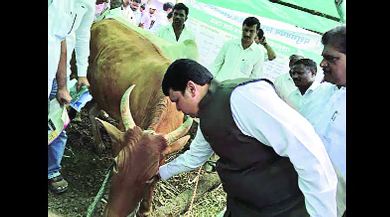 drought, maharashtra drought, drought marathwada, devendra fadnavis, fadnavis govt, mumbai news, indian express