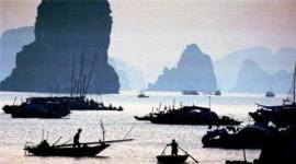 Indian fisherman, Indian fisherman arrested, Sri Lanka arrests Indian fisherman, Indian fisherman-illegal fishing, illegal fishing-Sri Lankan navy, India-Sri Lanka-Joint Working Group, India news, Indian express