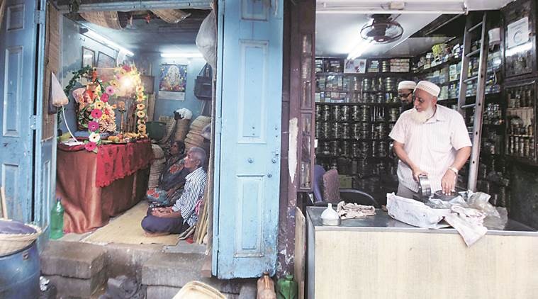 Ganeshotsav, ganehs festival, mumbai ganesh festival, harmony festival, mumbai news, indian express