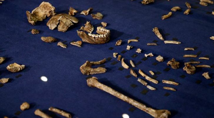 homo naledi, south africa, south africa cave, human relative, new human relative, scientists discovery, south africa news, science news, world news
