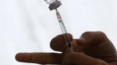 leptospirosis, what is leptospirosis, indianexpress.com, indianexpressonline, indianexpressnews, indianexpress, health news, mumbai victiim leptospirosis, H1N1 scare, H1N1 news, leptospirosis women, animals leptospirosis, animals to humans, leptospirosis, leptospirosis urine, leptospirosis news, how does leptospirosis spread, top bacteria infections, H1N1 infection, what is swine flu, H1N1 infection, Weil's disease, Weil's disease symptoms, Weil's disease news,
