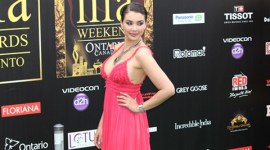 Lisa Ray, Lisa Ray news, Lisa Ray latest news, Lisa Ray movies, Lisa Ray upcoming movies, actress Lisa Ray, entertainment news