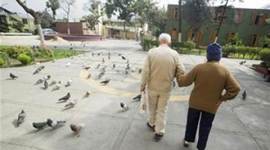 International Day for Senior Citizens, senior citizen day, delhi government, AAP, AAP govt, Arvind Kejriwal, delhi news, indian express