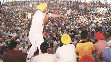 aap, bhagwant mann, bhagwant mann rally, ludhiana bhagwant mann rally, india news, chandigarh news, latest news