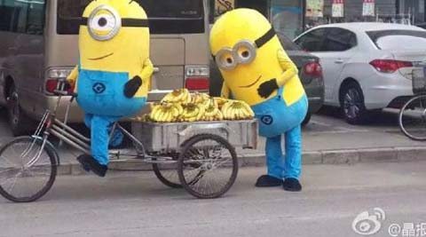 Minions, Minions selling bananas, Minions China Bananas, Minions selling bananas in China, minions movie, minion movie 2015