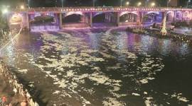 nashik, nashik pollution, nashik godavari, godavari pollution, godavari nashik, godavari nashik pollution, maharashtra news, nashik news, india news