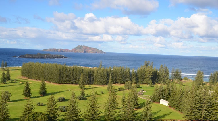 Earth, Earth trees, Earth green cover, Earth tree cover, Earth tree news, 