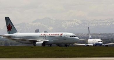 air canada, dog on plane, pilot rescues dog, canda plane dog rescued, world news
