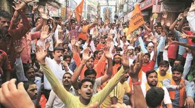 Ganesh Chaturthi festival, allahabad high court, idol immersion, allahabad idol immersion, allahabad ganesh idol immersion, lucknow news, india express