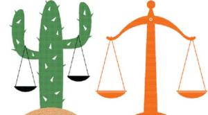 Rajasthan shows the way