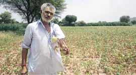 Rajasthan farmers, kharif season, Farmers rains, Ratanlal, Rural news