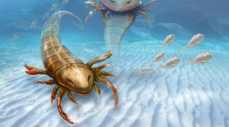sea scorpion, fossils, new sea bug, bug, sea monster, new sea monster, new sea creature, new sea animal, new fossils, sea scorpion fossils, sea monsters, tom cruise, world news
