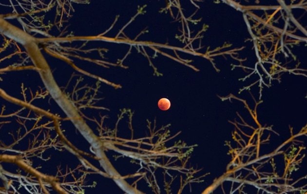 supermoon, super blood moon, blood moon, what is Super Moon, Super Blood Moon photos, supermoon photos, #superbloodmoon, blood moon photos, photos supermoon, photos blood moon, what is blood moon, bloodmoon, supermoon photos today