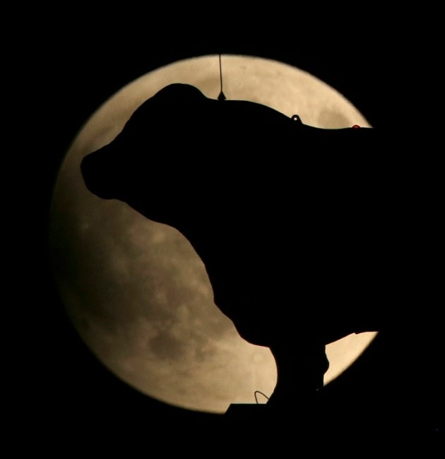 supermoon, super blood moon, blood moon, what is Super Moon, Super Blood Moon photos, supermoon photos, #superbloodmoon, blood moon photos, photos supermoon, photos blood moon, what is blood moon, bloodmoon, supermoon photos today