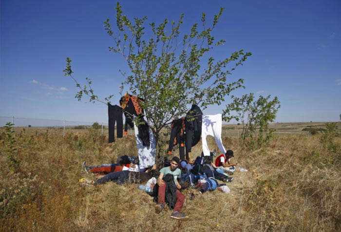 syria, syria refuges, syria migrants, syria refugee photos, europe refugees, europe refugee photos, europe migrants, europe migrant crisis, european union, us open, us open winners, us open photos, photos us open, top frames, pope, vatican, top photos, this week top photos, this week best photos, world top photos, world news, india news, indian express