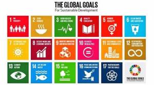 Seventeen steps to a better world