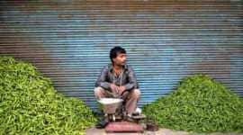 labour ministry, smart card vendors, UWIN Card, Social Security Act, Business news, nation news, india news