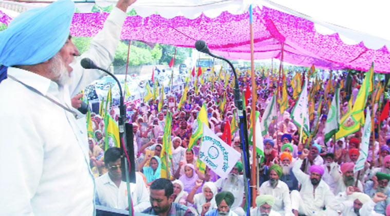 Farmers protest in support of Rs 25,000 per acre compensation for damaged cotton crop.
