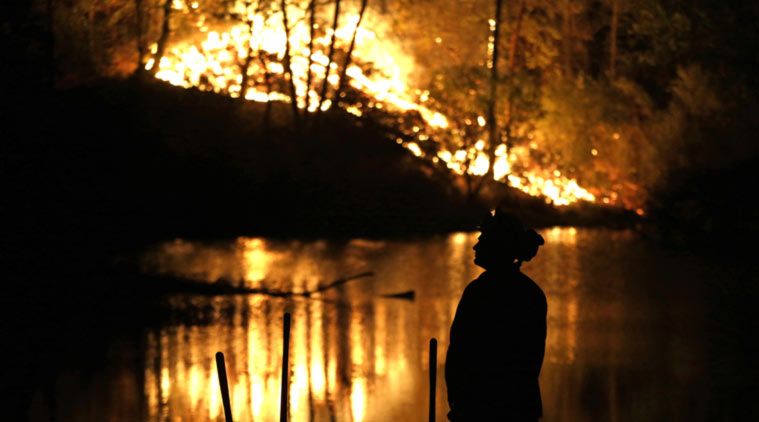 Australia wildfire, Australia forest fire, Australia bushfire, Australia news, 