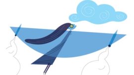 Indian Air Force, women in Indian Air force, women piolts, women pilots in indian airforce, women fighter pilots, iaf arup raha, arup raha IAF, IAF women fighter pilots, Indian air force news