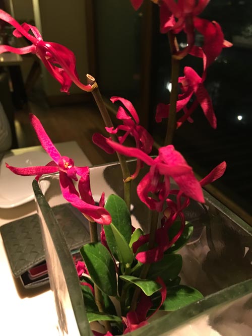  iPhone 6s Plus, iPhone 6s Plus review, Apple iPhone review, iphone 6s review, Apple, Apple iPhone, iphone 6s plus price, iphone 6s plus specification, iphone 6s plus price in india, iphone 6s specifications, apple iphone, iphone 6s specifications and price, iPhone 6s Plus Amazon, iPhone 6s Plus Paytm, technology, technology news