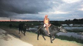 bihar elections, bihar news, latest news, bihar election news, bihar elections results, bihar polls, india news, patna news