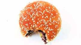 burger-thumb Vikram Khatri, Guppy by Ai, Chef Vikram Khatri, Maharashtra, carabeef, Abhishek Patnaik, Talk