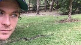 Chris Hemsworth, Chris Hemsworth movies, Chris Hemsworth upcoming movies, Chris Hemsworth news, Chris Hemsworth latest news, Chris Hemsworth instagram, entertainment news