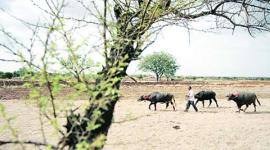 climate-change-2 no alt set