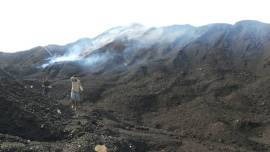 coal, coal india, coal in india, coal mine, coal blocks, coal firm, india environment, india news