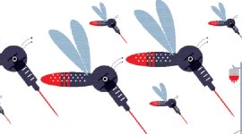 mosquitoes, world mosquito day, dengue, malaria, aedis aegypti, technology, battle, indian express, indian express news