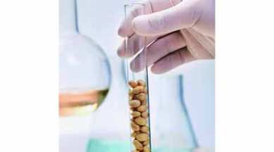Genetic food, DNA, genetic modification, genetic plants, health news