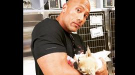 Dwayne Johnson, The Rock, actor