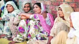 faridkot, faridkot protests, faridkot killing, faridkot news, punjab, punjab protests, punjab killing, punjab news, india news